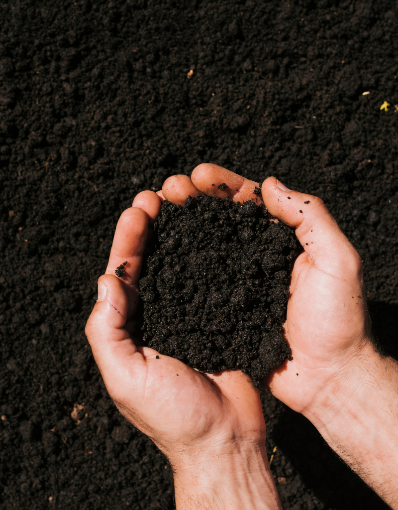 Deux mains tenant une poignée de terre sombre dans un champ agricole.